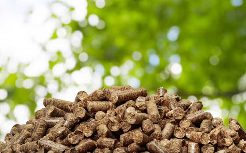 pasokan biomassa PLTU Adipala