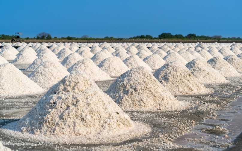garam industri