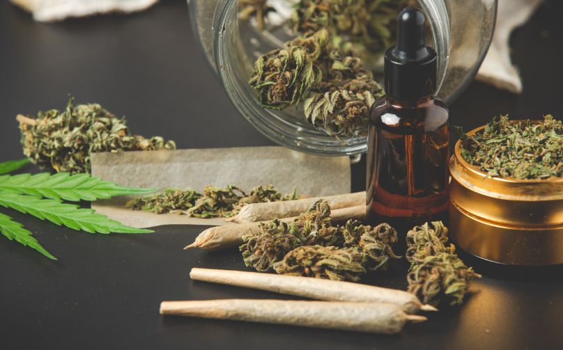 Regulasi Ganja Medis