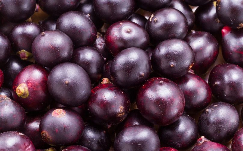 tarif impor açaí